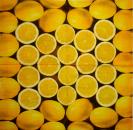 094 Lemons,  Oranges - 3 ply - Duni